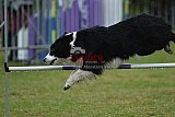 Canis donderdag