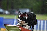 Canis donderdag