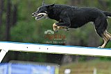 Canis donderdag