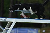 Canis donderdag