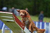 Canis donderdag