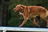 Canis donderdag