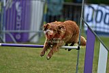 Canis donderdag