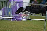 Canis donderdag