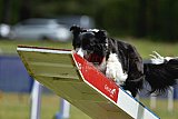 Canis donderdag