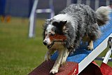Canis donderdag