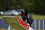 Canis donderdag