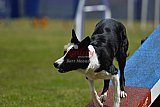 Canis donderdag