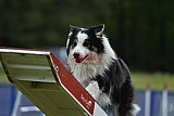 Canis donderdag