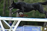 Canis donderdag
