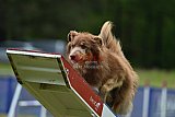 Canis donderdag