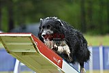 Canis donderdag