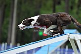 Canis donderdag