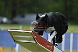 Canis donderdag