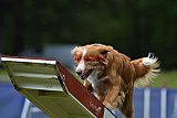 Canis donderdag