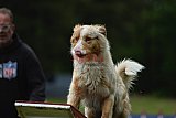 Canis donderdag