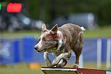 Canis donderdag
