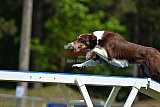 Canis donderdag