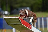 Canis donderdag