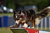 Canis donderdag