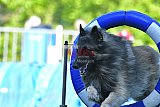 Canis zaterdag