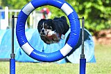Canis zaterdag