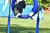 Canis zaterdag