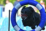 Canis zaterdag