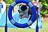 Canis zaterdag
