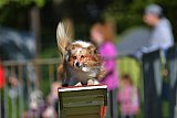 Canis zaterdag