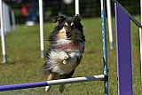 Canis zaterdag