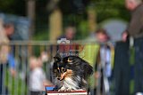 Canis zaterdag
