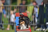 Canis zaterdag