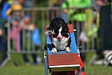 Canis zaterdag