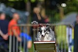 Canis zaterdag