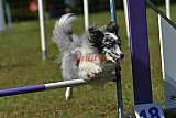 Canis zaterdag