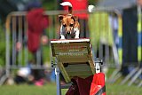 Canis zaterdag