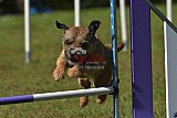 Canis zaterdag