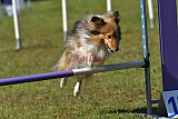 Canis zaterdag