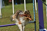 Canis zaterdag