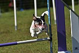 Canis zaterdag