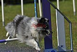 Canis zaterdag