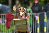 Canis zaterdag