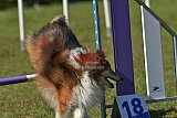 Canis zaterdag