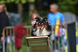 Canis zaterdag