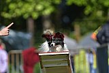 Canis zaterdag