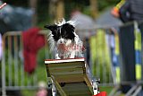 Canis zaterdag