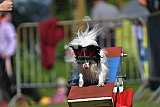 Canis zaterdag