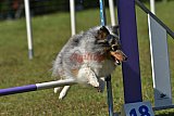 Canis zaterdag