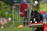 Canis zaterdag